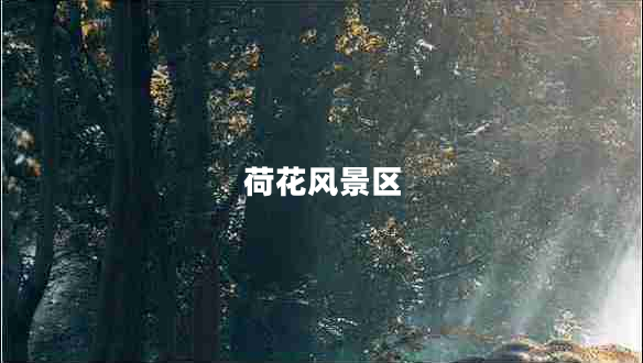 荷花風(fēng)景區