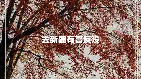 去新疆有高反沒(méi)