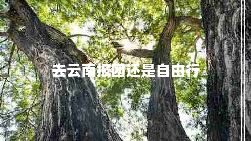 去云南報團還是自由行