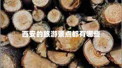 西安的旅游景點(diǎn)都有哪些