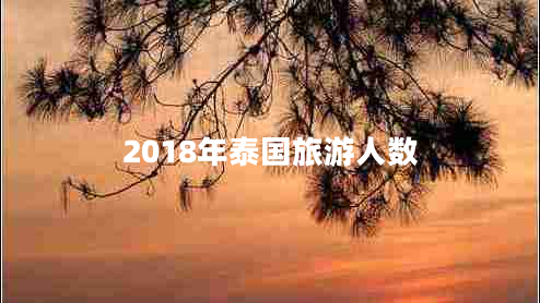 2018年泰國旅游人數