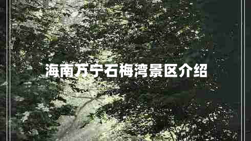 海南萬(wàn)寧石梅灣景區介紹