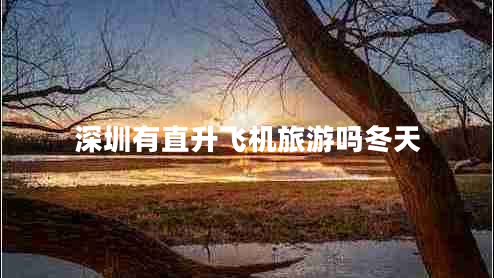 深圳有直升飛機旅游嗎冬天