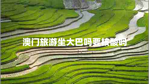 澳門(mén)旅游坐大巴嗎要核酸嗎