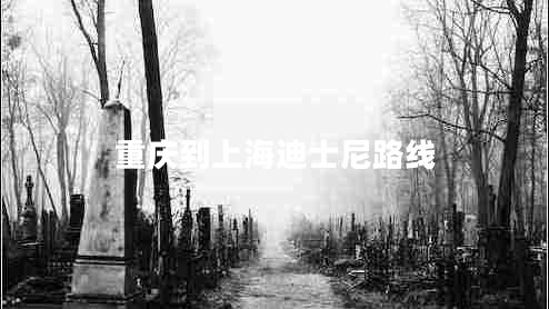 重慶到上海迪士尼路線(xiàn)