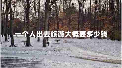 一個(gè)人出去旅游大概要多少錢(qián)