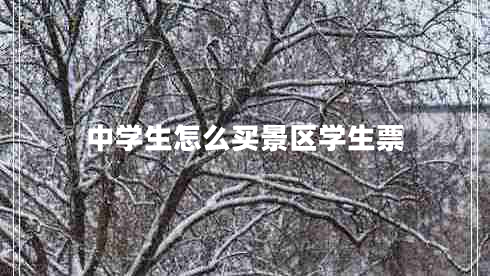 中學(xué)生怎么買(mǎi)景區學(xué)生票