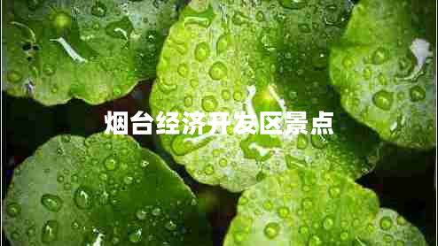 煙臺經(jīng)濟開(kāi)發(fā)區景點(diǎn)