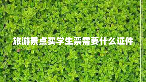 旅游景點(diǎn)買(mǎi)學(xué)生票需要什么證件