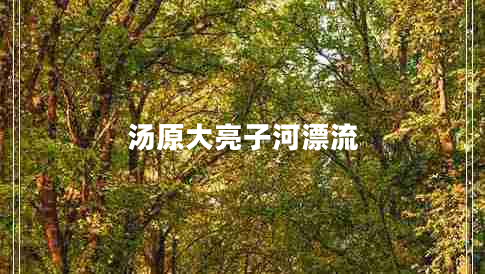 湯原大亮子河漂流