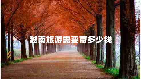 越南旅游需要帶多少錢(qián)
