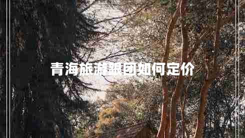 青海旅游跟團如何定價(jià)