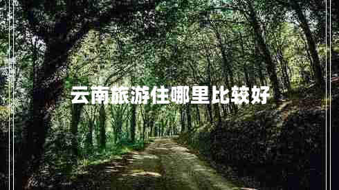 云南旅游住哪里比較好
