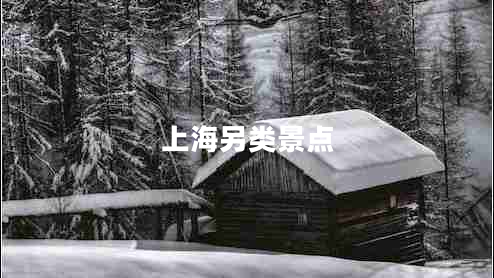 上海另類(lèi)景點(diǎn)