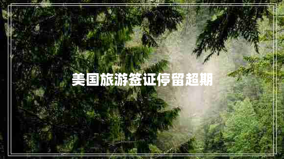 美國旅游簽證停留超期