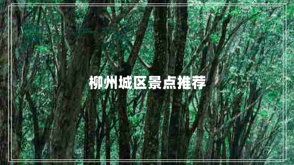 柳州城區景點(diǎn)推薦
