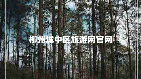 柳州城中區旅游網(wǎng)官網(wǎng)