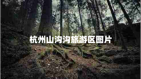 杭州山溝溝旅游區圖片