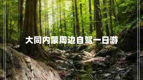 大同內蒙周邊自駕一日游