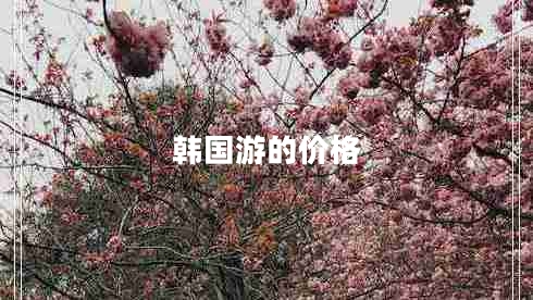韓國游的價(jià)格