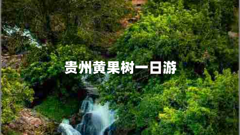貴州黃果樹(shù)一日游