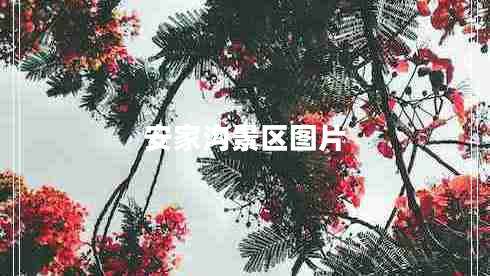 安家溝景區圖片