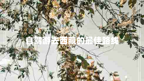自駕游去西藏的最佳路線(xiàn)