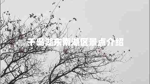 千島湖東南湖區景點(diǎn)介紹