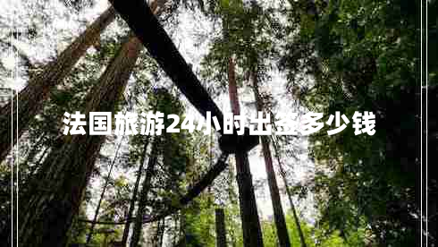 法國旅游24小時(shí)出簽多少錢(qián)
