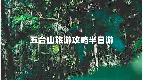 五臺山旅游攻略半日游