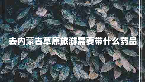 去內蒙古草原旅游需要帶什么藥品