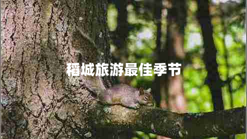 稻城旅游最佳季節