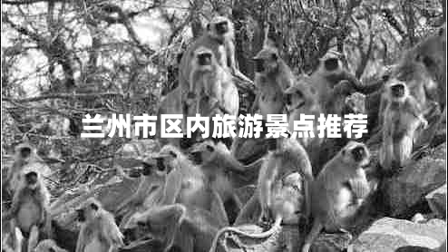 蘭州市區內旅游景點(diǎn)推薦