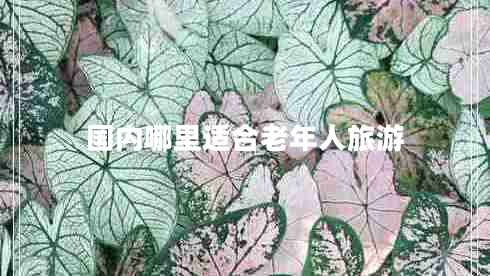 國內哪里適合老年人旅游