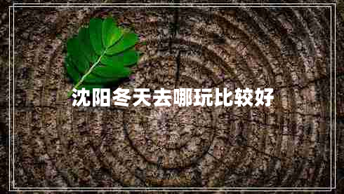 沈陽(yáng)冬天去哪玩比較好