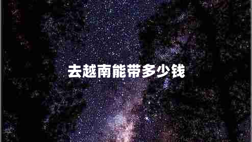 去越南能帶多少錢(qián)