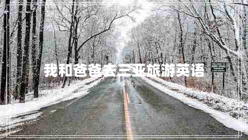 我和爸爸去三亞旅游英語(yǔ)