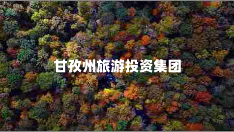 甘孜州旅游投資集團