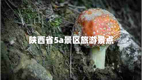 陜西省5a景區旅游景點(diǎn)