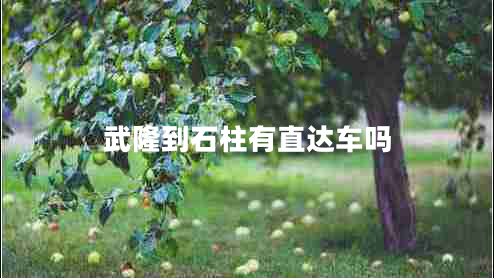 武隆到石柱有直達車(chē)嗎