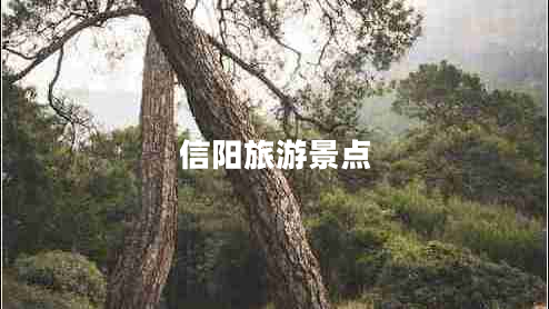 信陽旅游景點