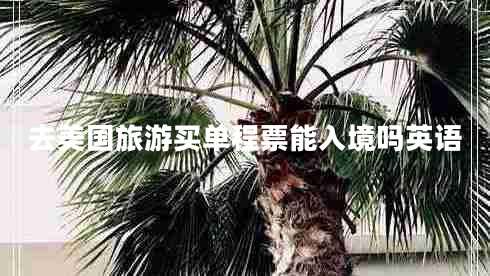 去美國旅游買(mǎi)單程票能入境嗎英語(yǔ)
