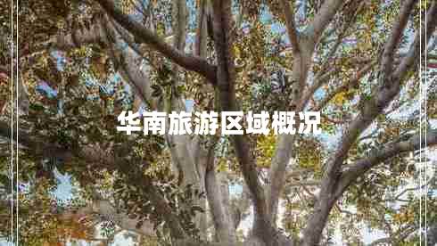 華南旅游區域概況