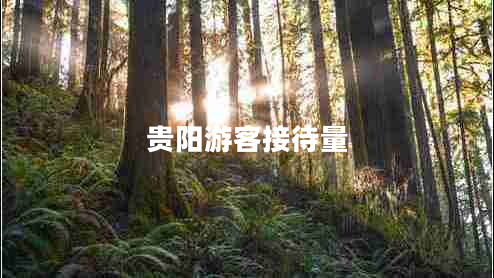 貴陽(yáng)游客接待量