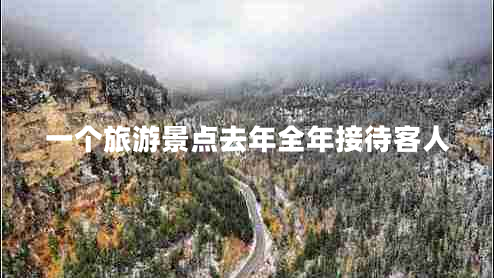 一個(gè)旅游景點(diǎn)去年全年接待客人