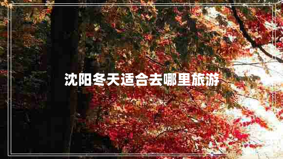 沈陽(yáng)冬天適合去哪里旅游