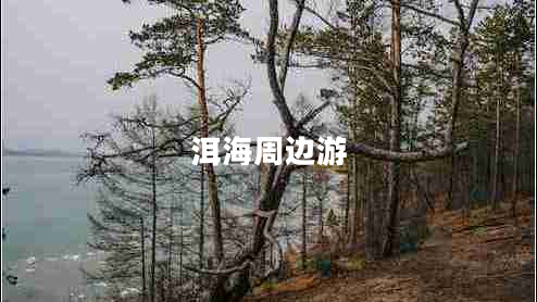 洱海周邊游