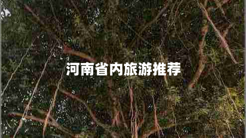 河南省內旅游推薦