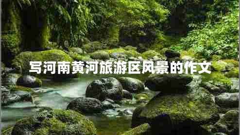 寫(xiě)河南黃河旅游區風(fēng)景的作文