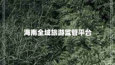 海南全域旅游監管平臺